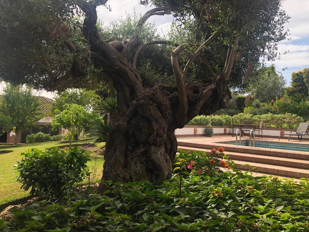 Authentic Andalucia Villa Марбеля Екстериор снимка